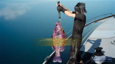Ffxv mummy bass  You know the thing is around once you see a Large Blue dot from the map then follow reeling instructions from guides