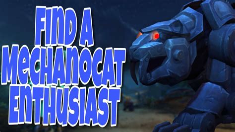 Find a mechanocat enthusiast  At this rate, I'll be able to complete the Nazjatar meta before the Mechagon one, because RNG means infinite waiting time versus a guaranteed effort