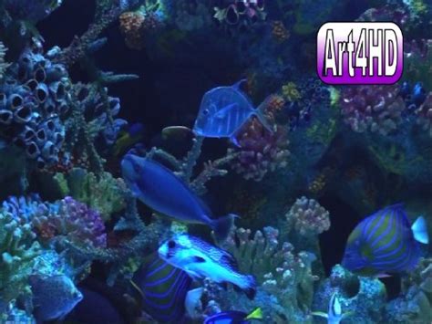 Firestick aquarium screensaver  What are the buildings in the Roku screensaver? We’ve found a lot of them, including: King Kong, Mary Poppins, Spider-man, the Titanic, The Daily Planet building, and the “major award” from