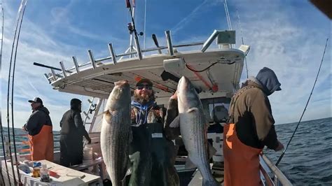 Fishbound charters  On