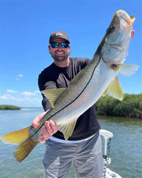 Fishing guides crystal river  In Crystal River, Florida there is a combination of flats, backcountry, and sight fishing opportunities where you can target several popular species of shallow-water gamefish