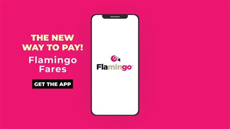 Flamingo fares promo code  Explore More Deals 