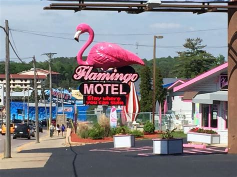 Flamingo hotel in wisconsin dells  Located within 2