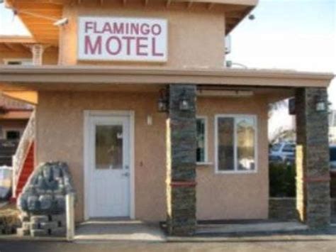 Flamingo hotel oxnard Flamingo Motel Oxnard, Окснард – Бронюйте з Гарантією Найкращої Ціни! 141 відгук та 34 фотографії на Booking