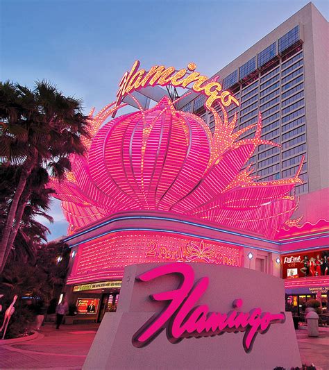 Flamingo las vegas expedia  3