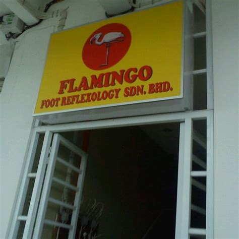 Flamingo reflexology photos  RM 470