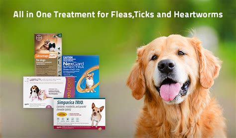 Flea treatment west hempstead Every pet in the home must be treated