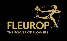 Fleurop interflora switzerland  Whatever that occasion may be, fresh flowers delivered from Interflora Australia make a perfect gift, a token of appreciation and the ideal gift to brighten their day