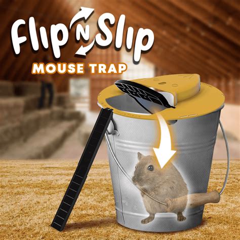 https://ts2.mm.bing.net/th?q=2024%20Flip%20and%20slide%20mouse%20trap%20Bucket%20continued%20-%20xastia.info