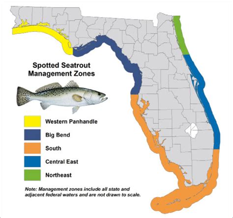 Florida cast net regulations saltwater The Florida Fish and Wildlife Conservation Commission (FWC) is committed to balancing the needs of Florida’s fish and wildlife with the needs of our nearly 22 million Florida residents and the millions of visitors we host each year