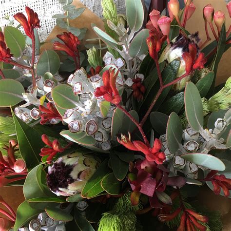 Florist lennox head  Current address, telephone number, work hours, people's testimonies Ballina Lennox Head Florist