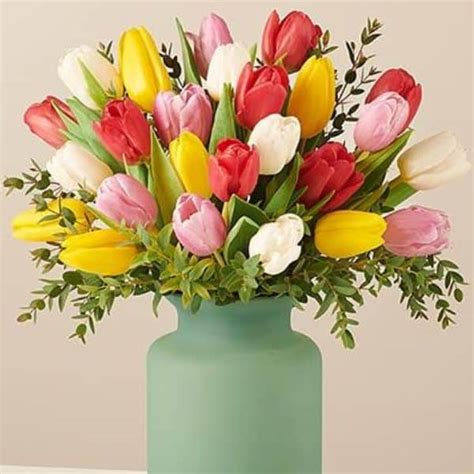Flower delivery geneva switzerland Order flowers to Geneva online and have them delivered to your loved one's doorstep! Same and next day flower delivery in Geneva guaranteed! Flower Shop in Geneva - Geneva, Switzerland Flower DeliveryKanel, LesFleurs, SayFlowers, etc