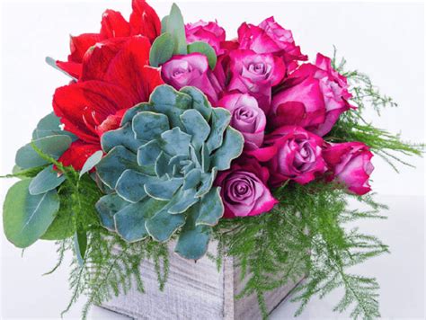 Flower delivery new york proflowers  Order by 1pm for same day flower delivery New York (Mon-Sun)