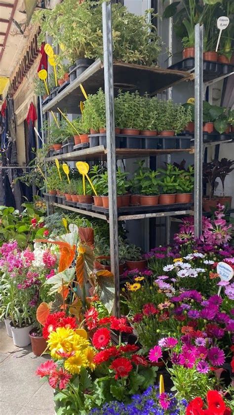 Flower shop athens greece 00 in the morning until 21