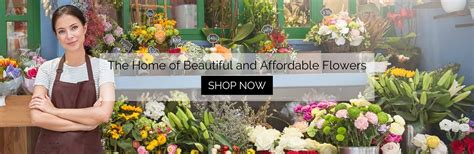 Flower shop brunswick heads  Explore