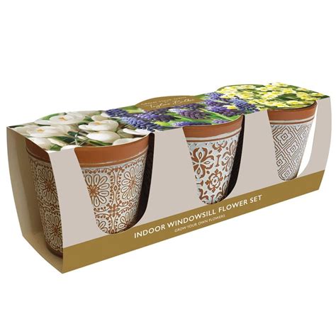 Flowering bulb gift sets m&s  We stock both indoor and outdoor potted plants