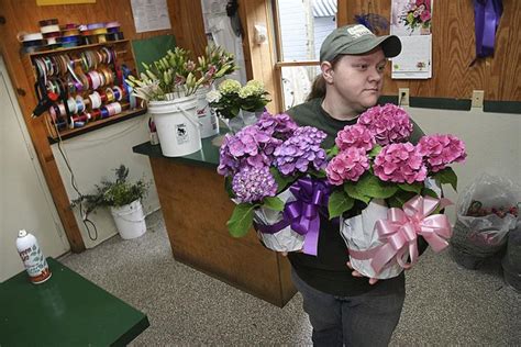 Flowers by nancy beckley wv  Peyton J