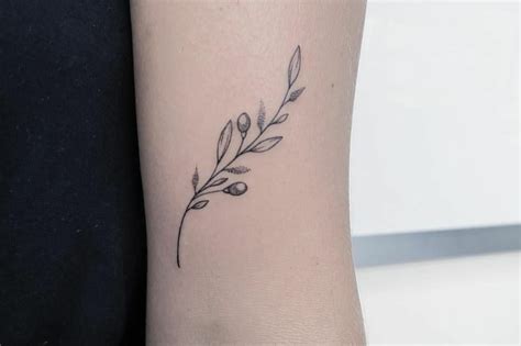 Folha de oliveira tattoo significado  A folha de oliveira representa abundância, glória, paz e, ainda, purificação