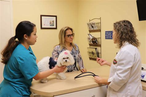 Fort lauderdale pet hospital  Skip to main content
