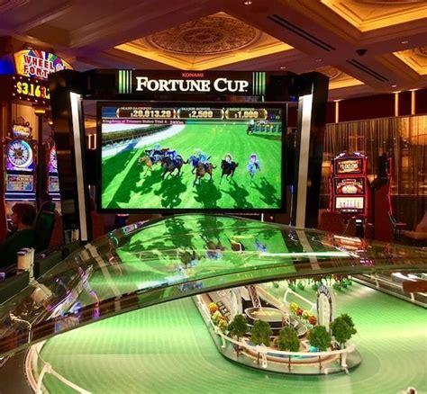 Fortune cup las vegas 2023 February 1, 2023, 3:10 PM PST