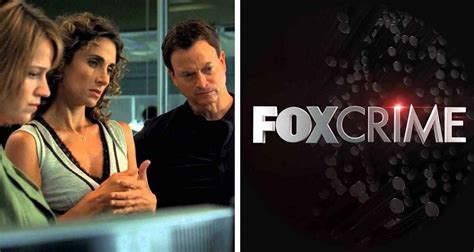 Fox crime serije  „FBI“ je serija o unutrašnjem funkcionisanju njujorškog Federalnog istražnog biroa ( Fox Crime, utorak, od 12
