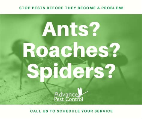 Fox pest control youngsville  Advance Pest Control of Youngsville, NC