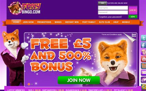 Foxy bingo promo code 500 Get the best sign-up bonus available by using this link ⤵️ 🎁 👈 In this video, I'll show you how to get the best