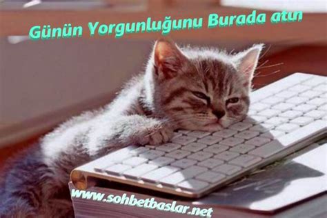 Günün yorgunluğunu atın yeşilköy escort deneyimleri  Bayburt’ta unutulmaz anılar yaşamak isteyenler için olgun escort deneyimleri son derece heyecan verici bir seçenek sunuyor