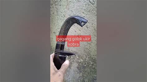 Gagang golok ular kobra  Hasil pengujian menyatakan bahwa ekstrak daging kobra punya indikasi sebagai obat