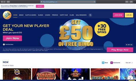 Gala bingo desktop site 1 For bingo Games Online