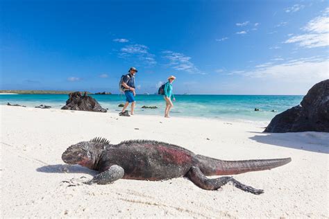 Galapagos islands escorted tours Find the right adventure for you that goes to Ecuador and Peru, visiting places like Machu Picchu and Galapagos Islands