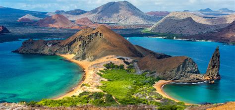 Galapagos islands escorts  You can also see other incredible animals like blue-footed boobies, land iguanas, magnificent frigatebirds and bright pink flamingoes here