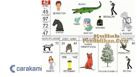 Gambar 43 togel  2D = 04 <> 87