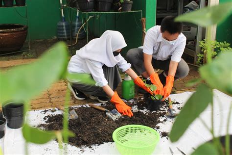 Gambar semut gotong royong 4