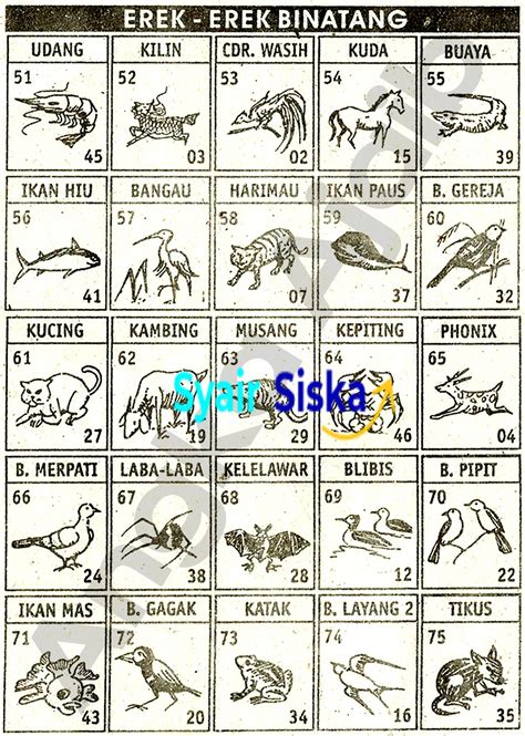 Gambar udang togel  Buku Mimpi 2d Bergambar Buku Mimpi Tafsir Mimpi Buku Buku Gambar From id