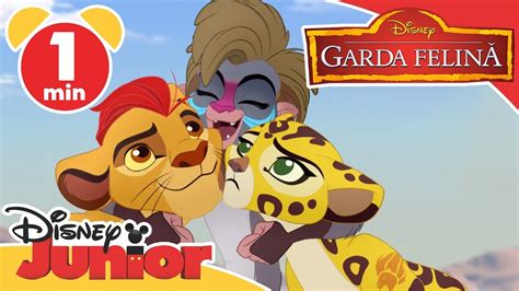 Garda felina sezonul 3 episodul 1  15, 2016