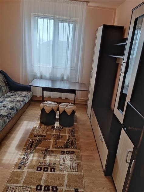 Garsoniera de inchiriat timisoara 100 euro  Nespecificat