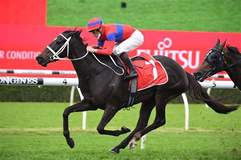 George main stakes odds The George Main Stakes, currently known by its sponsor's name as the Colgate Optic White Stakes, is a Group One race held over a distance of 1,600 metres at
