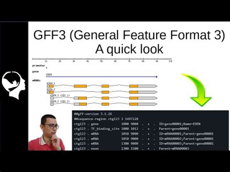 Gff3 0, which are mapped to UMD3