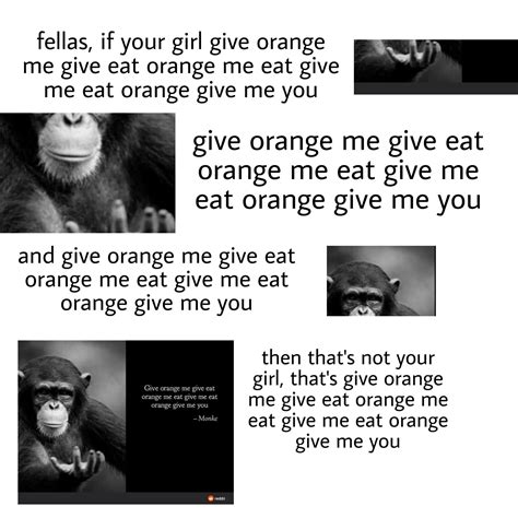 Give orange me give eat orange copypasta  “‘Give orange me give eat orange me eat orange give me eat orange give me you’ was the longest string of words signed by Nim Chimpsky, the chimpanzee subject of an extended study into animal language in the 1970s