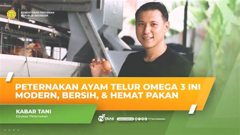 Global buwana farm foto  Selama magang banyak ilmu yang saya peroleh yaitu melakukan pengecekan kesehatan rutin terhadap ayam layer, memberikan vitamin dan feed additive jika diperlukan, melakukan evaluasi program vaksinasi, melakukan sortir telur yang akan dipasarkan