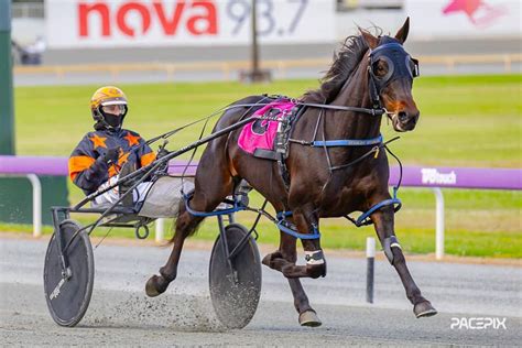 Gloucester park harness racing live  Say hello to the Year of the Rabbit and celebrate the 2023 Chinese New Year at Gloucester Park on Friday 27th January