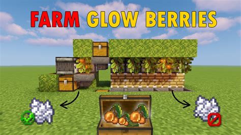 Glow berries minecraft farm 0:00 Intro0:12 What are glow berries?0:41 Finding glow berries1:47 Growing glow berriesIn this tutorial, learn all about glow berries in Minecraft