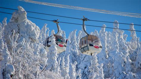 Gondola ride mont-tremblant price  Read more