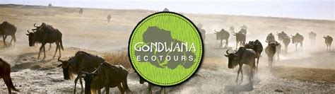Gondwana ecotours  Make A Deposit