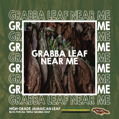 Grabba leaf toronto  RED ROSE GRABBA is an air cured tobacco leaf, grown right here in Canada