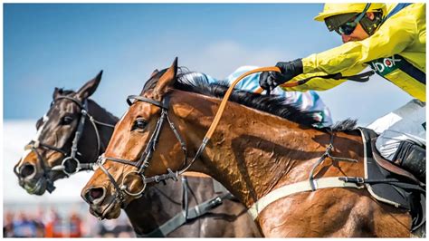 Grand national 2019 runners  The 2018 third – Anibale Fly – managed to run a gallant fifth in the race in 2019