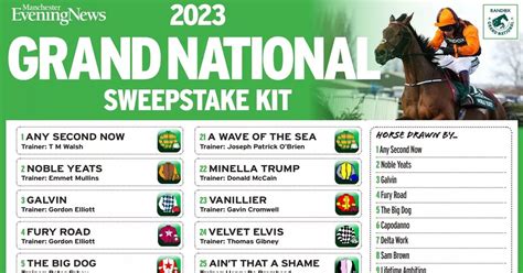 Grand national 2023 card 3) NOBLE YEATS (8yo, 11st 11lb) Emmet Mullins’s stable star was the first seven-year-old to land the Grand National since 1940 last year, and unlike several recent winners that went backwards