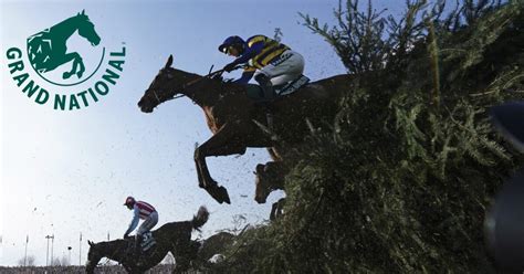 Grand national predictor tool  Paypal and certain