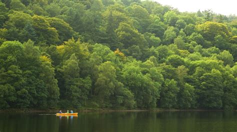 Grasmere kayak hire  Before arrival please check:Walking Tours in Grasmere Boat Hire in Grasmere Cultural Tours in Grasmere Multi